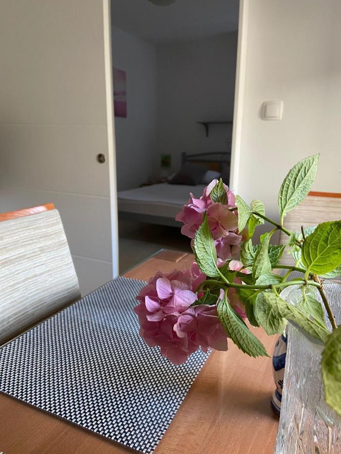 Duje & Roko Apartments Šibenik Buitenkant foto