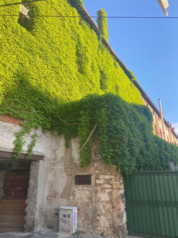 Duje & Roko Apartments Šibenik Buitenkant foto